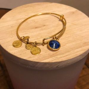 Alex & Ani bracelet